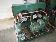 冷凍のフリーザー部屋のためののタイプ圧縮機の空気によって冷却される凝縮の単位