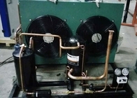 中型および低温の低温貯蔵のための8 HPの密閉凝縮の単位