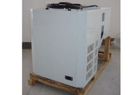 壁に取り付けられた冷凍庫のための低温貯蔵3 HP モノブロックの冷却ユニット