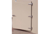 ホテルのための850 * 1800mmの低温貯蔵のドアの振動開いた様式の鋼鉄フラッシュ・ドア