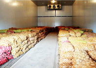 43kg /m³の断熱材PUパネルを備えた野菜または果物冷蔵室