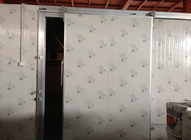 冷蔵室/単一の葉のための自動タイプ低温貯蔵のスライディング・ドア100mmの厚さ