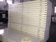 研修会のための鋼鉄冷蔵室の絶縁材のパネル42 Kg/Mの³ PUロックのパネルを着色して下さい
